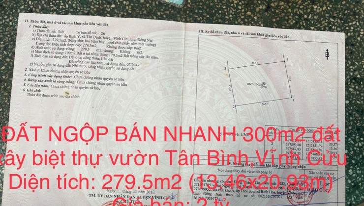 ĐẤT NGỘP BÁN NHANH 300m2 đất xây biệt thự vườn xã Tân Bình,Vĩnh Cửu