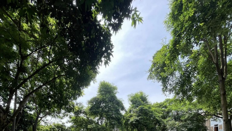 BÁn Gấp! Biệt Thự  KĐT Bán đảo Linh Đàm, Quận Hoàng Mai, 251m x 4T x Mt 13n. Giá hoen 60 tỷ.