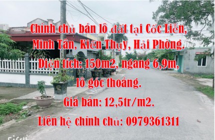 CHÍNH CHỦ CHO THUÊ CĂN HỘ CHUNG CƯ ĐIỆN LỰC Q8, HCM