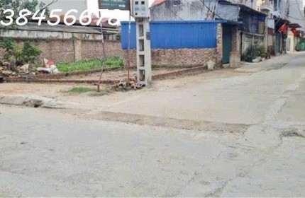 Bán đất giá siêu tốt 75m2 Thụy Lâm Đông Anh,