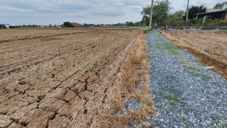 Bán gấp lô đất lúa hai mặt tiền xã Đức Tân giá 900 triệu