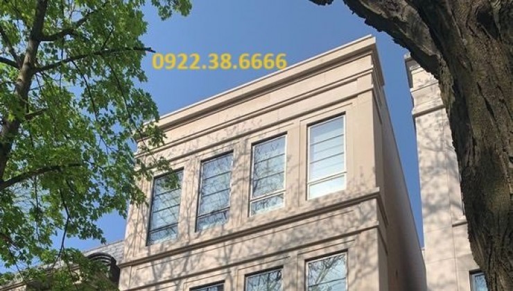 Building cỡ nhỏ – Trần Quốc Toản – 250m2 – 11 tầng. Dòng tiền 6 tỷ/năm.