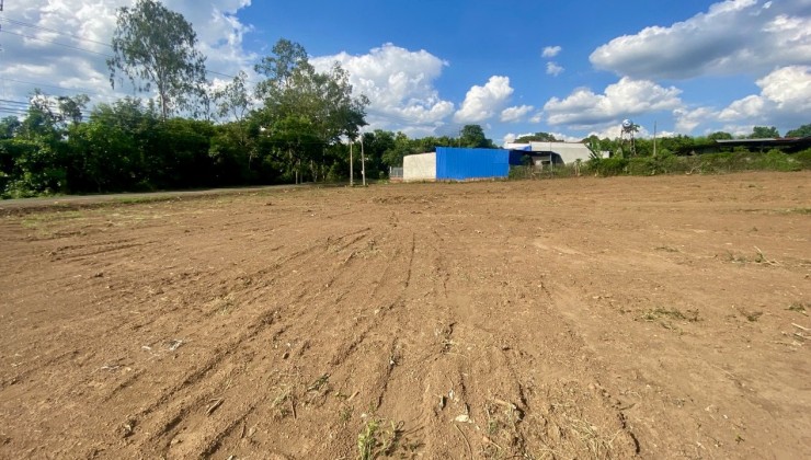Bể Nợ Bán Lỗ 4 sổ (20x80)1600m2, Mặt Tiền Đường, Dân Đông, Đối Diện Xí Nghiệp 560tr/sổ