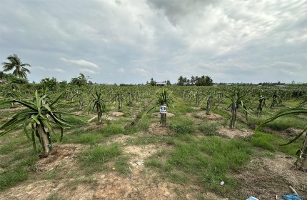 CHÍNH CHỦ Cần Bán Đất Mặt Tiền Lộ Nhựa Tại Xã Đăng Hưng Phước, Chợ Gạo, Tiền Giang