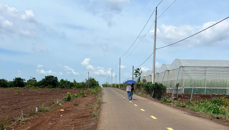 \"Đất tốt, cơ hội vàng!\" ❣️ 185m2, ngang 6m, Điện nước đầy đủ, SHR giá yêu thương 669tr