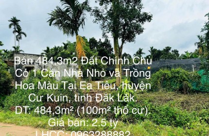 Bán 484,3m2 Đất Chính Chủ Có 1 Căn Nhà Nhỏ và Trồng Hoa Màu Tại Ea Tiêu, huyện Cư Kuin, Đăk Lăk.