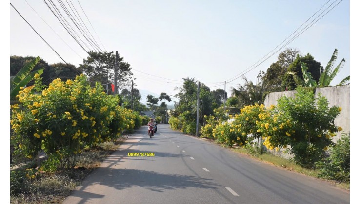 Đất Mặt Tiền Đường Nhựa Liên Huyện Bình Dương Giá Siêu Tốt