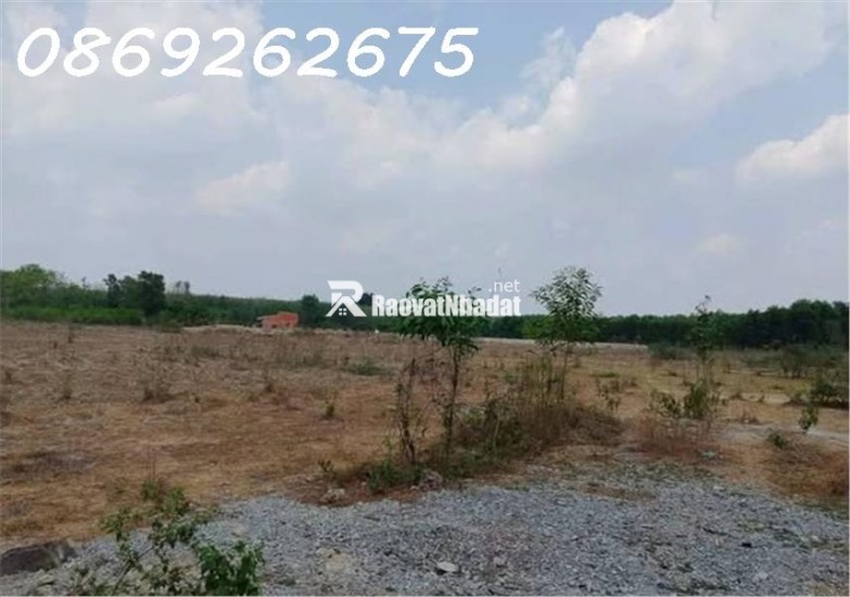 CHO THUÊ ĐẤT SKC 39.000M BÌNH DƯƠNG MẶT TIỀN ĐƯỜNG DT GIÁ 200 TRIỆU