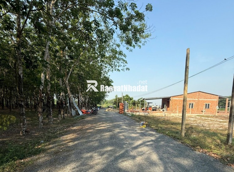 Bán gấp lô đất ngộp nằm ngay mặt tiền đường, pháp lý đầy đủ sang tên công chứng ngay