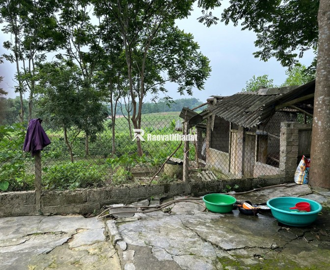 Chính chủ bán lô đất 9154m² tại Phúc Xuân, 1400m² thổ cư, có nhà – Giá tốt, thương lượng!