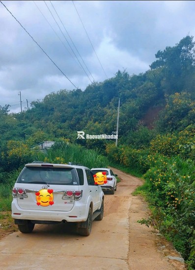 SỞ HỮU ĐẤT NGHỈ DƯỠNG ĐÀ LẠT: TẬN HƯỞNG CUỘC SỐNG THIÊN ĐƯỜNG ️