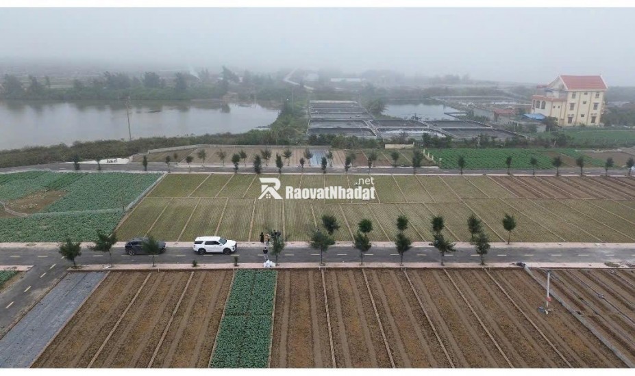 Bán gấp đất nền 89m2 tại xã Giao Phong, Giao Thủy, Nam Định, chỉ từ 12tr/m2