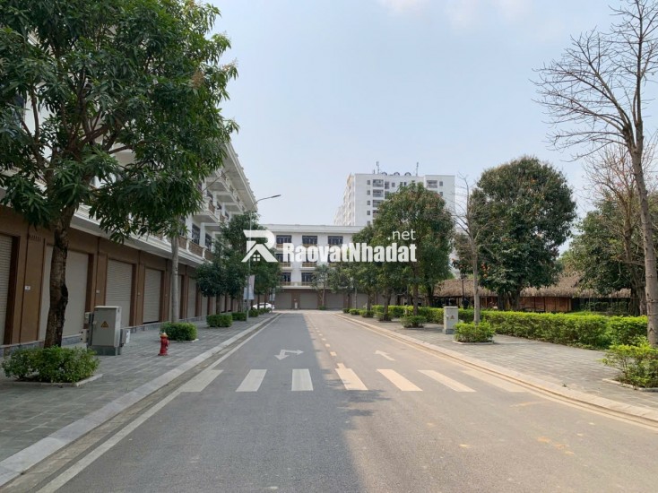 Bán nhà liền kề 4 tầng khu đô thị Xuân Hưng Đại Lộ Cesp Thành Phố Thanh Hóa