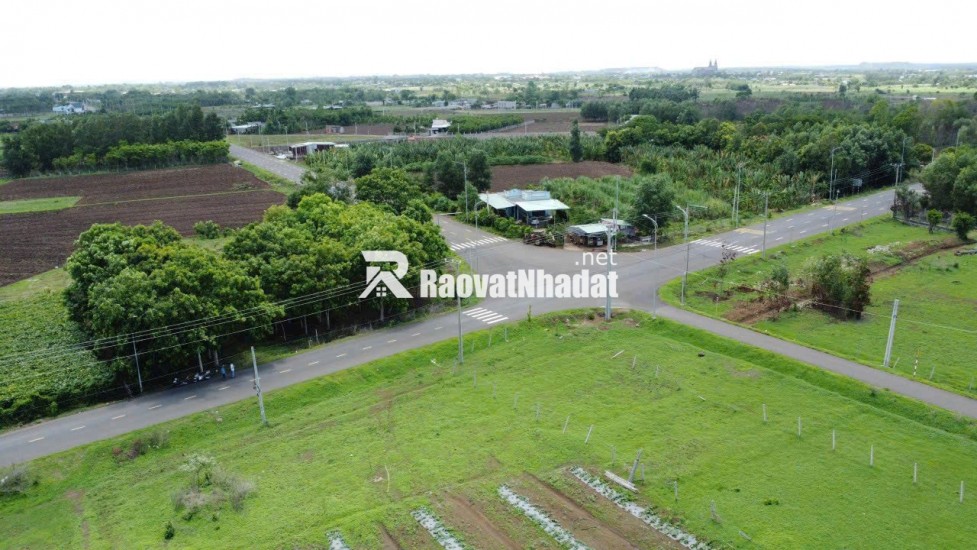 Bán Đất Nền Chính Chủ MT Đường Nhựa Ngang 20x40m có 100m2 Thổ Cư, SHR