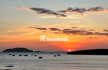 Bán đất Hòn Đỏ- Ninh Thuận  cách biển 100m xã Thanh Hải, giá tốt 30 triệu / m2, diện tích 100 m2, hot