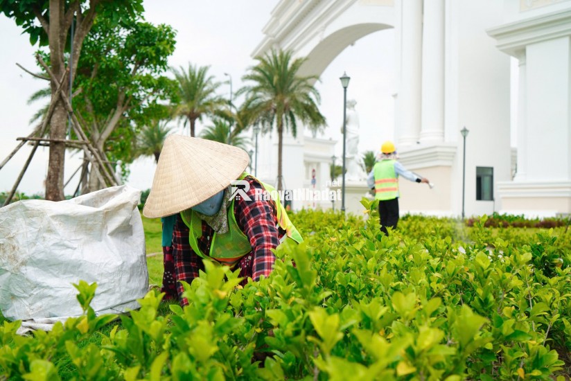 đất nền giá tốt tại dự án Agora City - Khu đô thị trung tâm hành chính thương mại thủ thừa