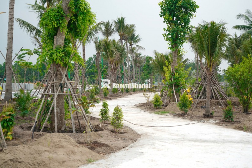 đất nền giá tốt tại dự án Agora City - Khu đô thị trung tâm hành chính thương mại thủ thừa