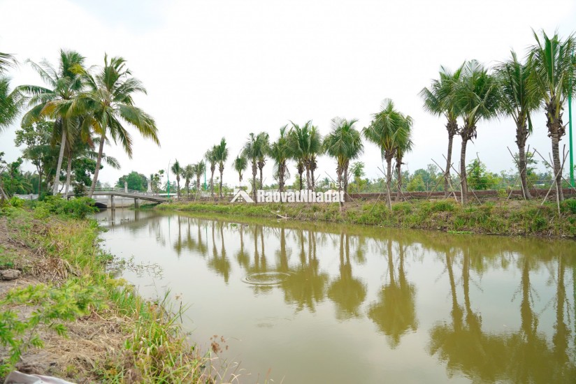 đất nền giá tốt tại dự án Agora City - Khu đô thị trung tâm hành chính thương mại thủ thừa