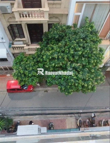 Bán nhà phố Trần Duy Hưng-Cầu Giấy – 51 m², Phân Lô, Ô Tô Tránh – 20.6 Tỷ