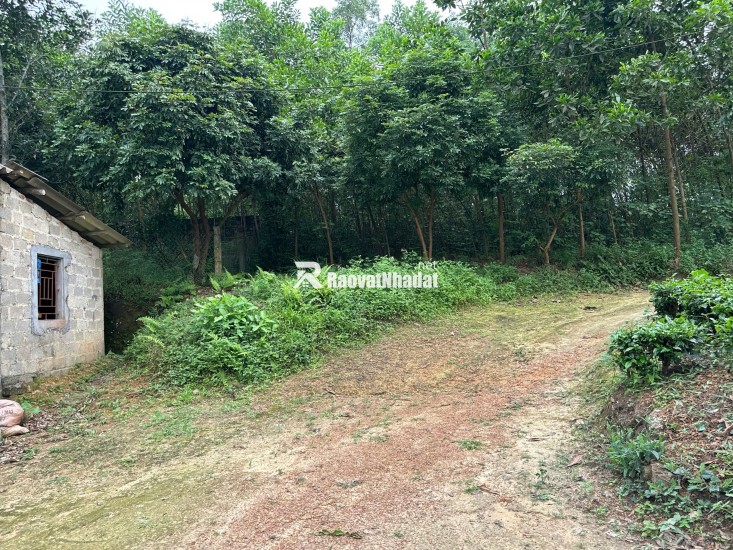 CHÍNH CHỦ  thuộc Phúc Xuân xóm Đồng Lạnh. Diện tích 9154m2 Trong đó có 1400 m2 đất thổ cư