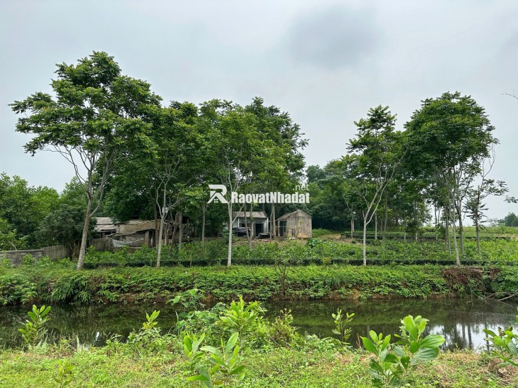 CHÍNH CHỦ  thuộc Phúc Xuân xóm Đồng Lạnh. Diện tích 9154m2 Trong đó có 1400 m2 đất thổ cư