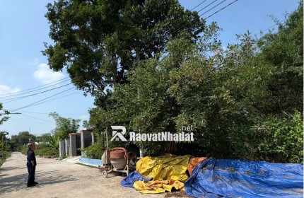 Chính chủ cần bán lô đất siêu hiếm tại Cây Trường 2 – Bàu Bàng – Bình Dương
