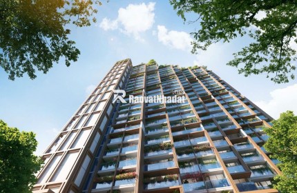 SỞ HỮU CĂN HỘ BIỂN TẠI ĐẢO NGỌC CÁT BÀ CHỈ TỪ 600 TRIỆU ĐỒNG, CHIẾT KHẤU LÊN TỚI 15%