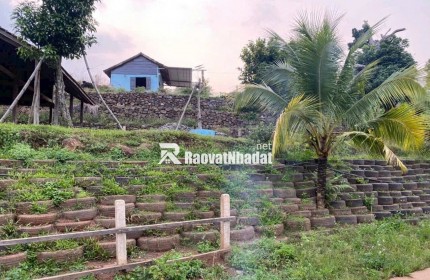 Cô Chú Lớn Tuổi - Cần Bán Gấp Mảnh Đất Vườn 1500m2 Thống Nhất, Đồng Nai