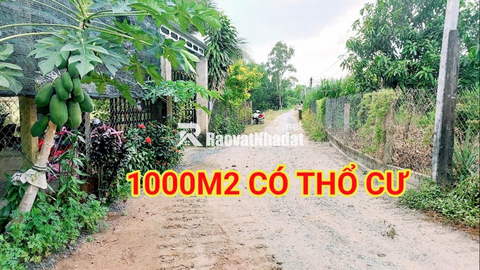 280 Triệu sang Tên 1000m2 có Thổ Cư, Gần DT 818, mỗi tháng trả thêm 3 triệu