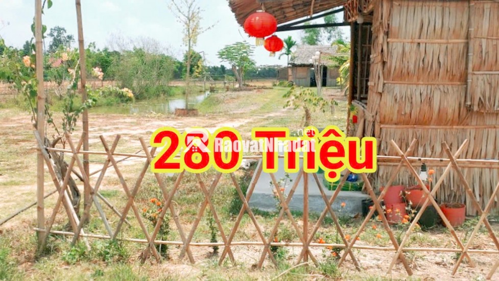 280 Triệu sang Tên 1000m2 có Thổ Cư, Gần DT 818, mỗi tháng trả thêm 3 triệu
