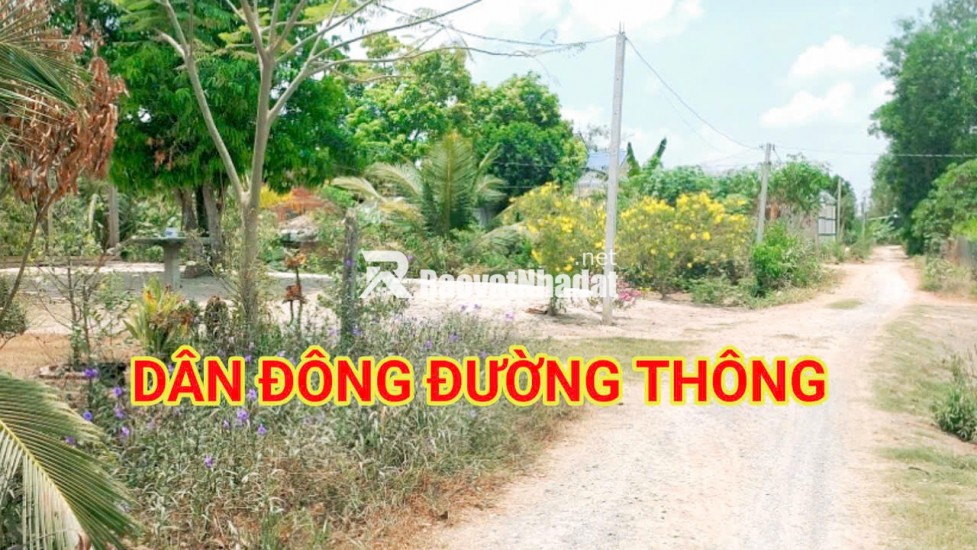 280 Triệu sang Tên 1000m2 có Thổ Cư, Gần DT 818, mỗi tháng trả thêm 3 triệu