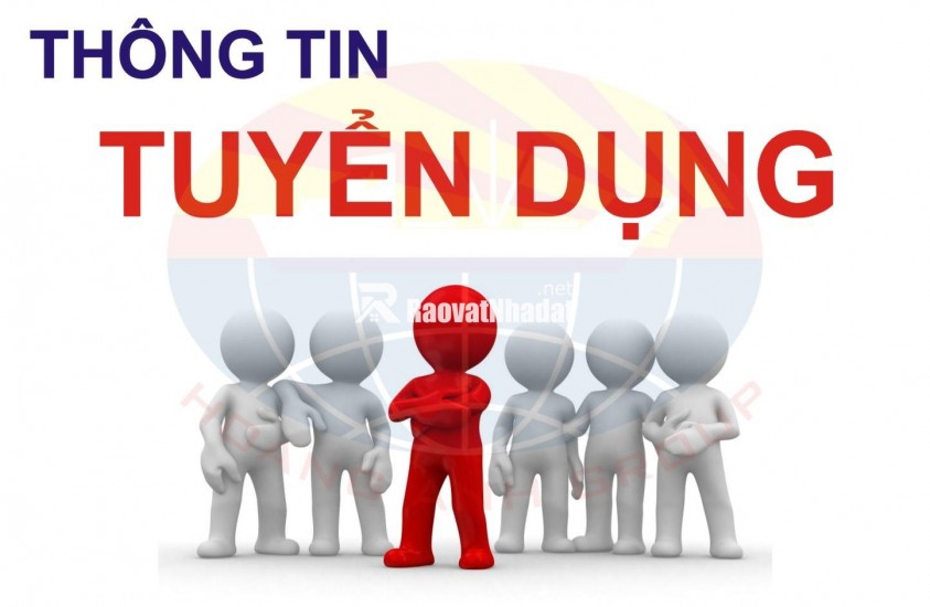 TUYỂN DỤNG CHUYÊN VIÊN KINH DOANH BẤT ĐỘNG SẢN TẠI ĐÀ NẴNG - CÔNG TY CỔ PHẦN TUẤN 123 MIỀN TRUNG.