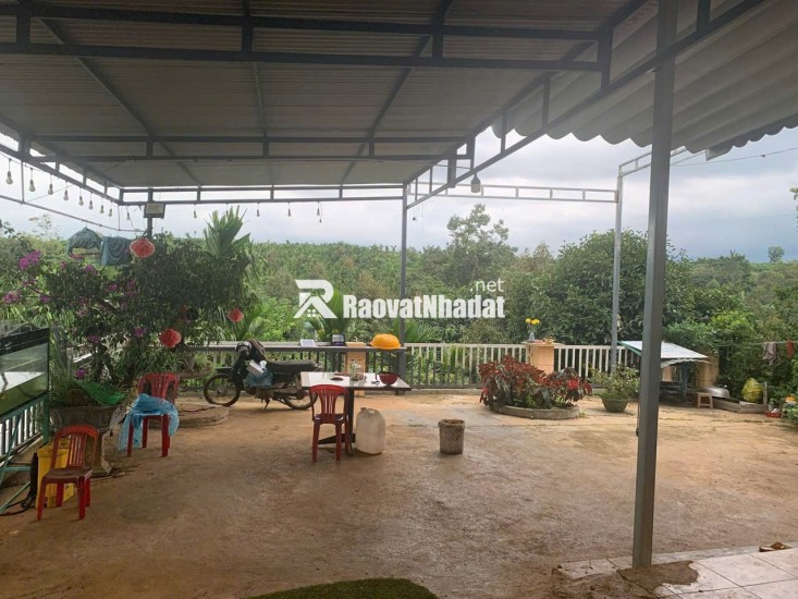 - Bán Lô Đất Nghỉ Dưỡng Đẹp Như Tranh Tại Lộc An – View Hồ – Có Sẵn Nhà, Vườn Trái Cây