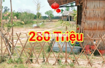 280 Triệu sang Tên 1000m2 có Thổ Cư, Gần DT 818, mỗi tháng trả thêm 3 triệu