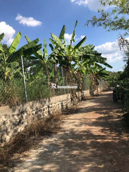 ĐI ĐÂU XA NGAY ĐÂY CÓ MỘT VƯỜN ĐA DẠNG CÁC LOẠI TRÁI CÂY