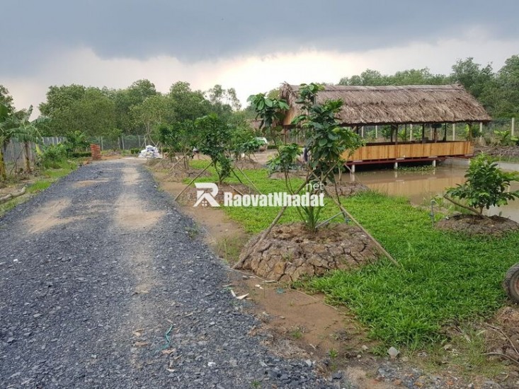 Bán Gấp 1000m2 Đất Vườn Giá 210 Triệu Liên Hệ 0706320631 gặp A An