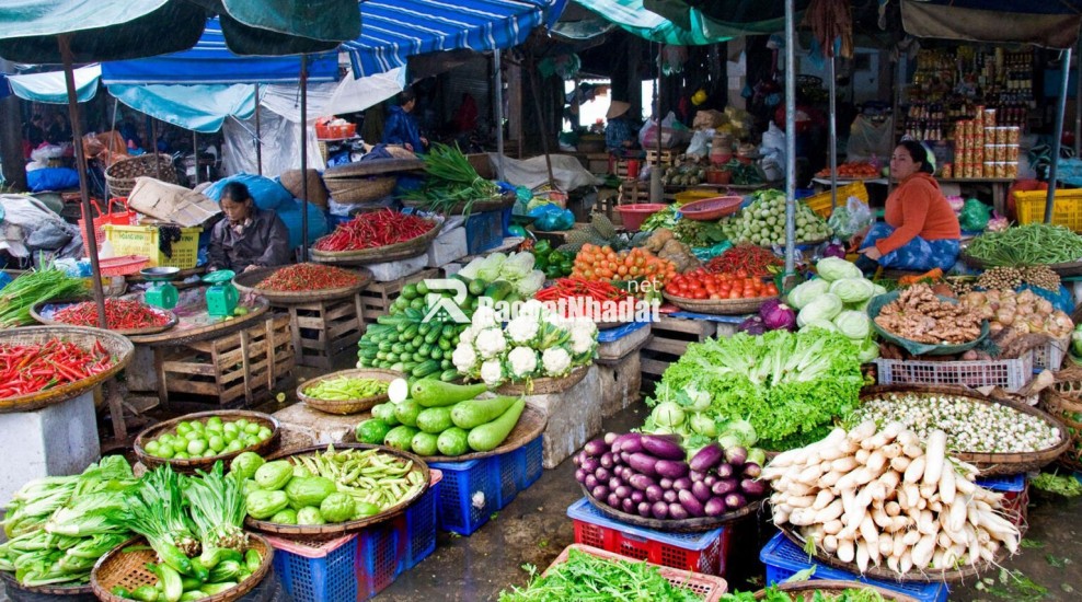 Lô đất đẹp 100m2 ở giao thủy nam định