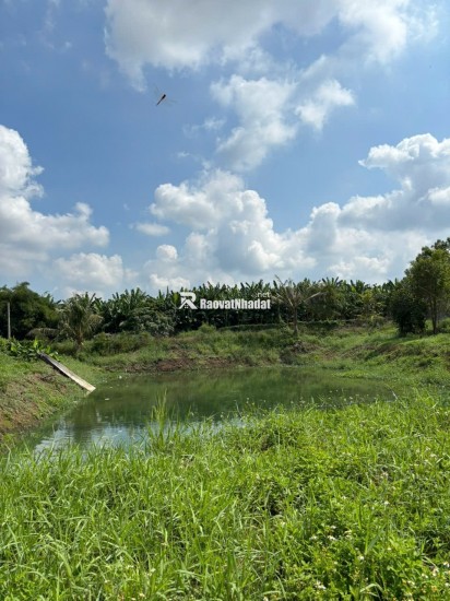 Đất gần Hồ Trị An không khí mát mẻ, kèm thêm vườn xoài nhiều trái