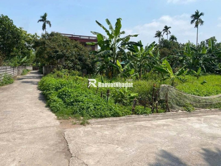 CHÍNH CHỦ CẦN CHUYỂN NHƯỢNG ĐẤT LÔ GÓC 620m²