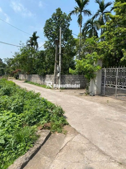 CHÍNH CHỦ CẦN CHUYỂN NHƯỢNG ĐẤT LÔ GÓC 620m²