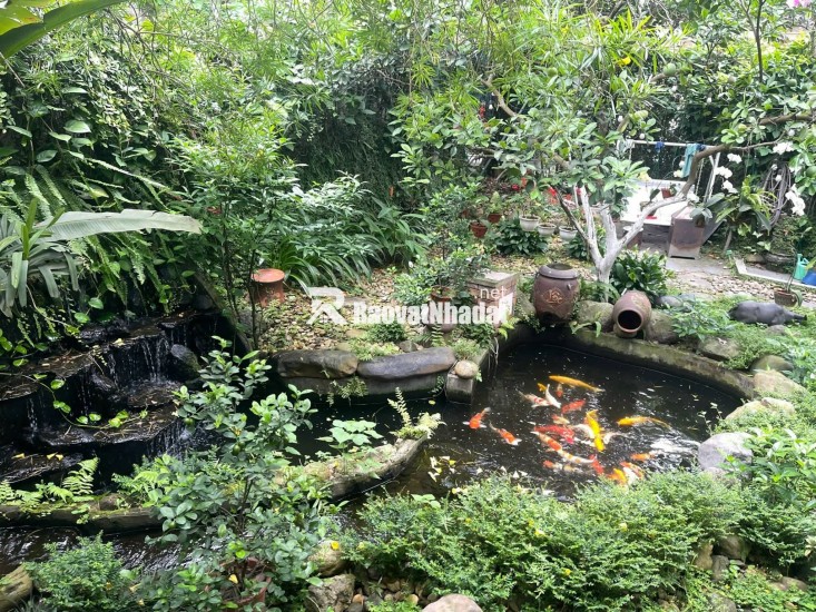  BÁN BIỆT THỰ SÂN VƯỜN NGỌC THỤY – TRUNG TÂM LONG BIÊN 
 Diện tích đất: 378m² – Diện tích sử dụng: 428m²
 Mặt tiền rộng: 11m – 2 mặt ngõ