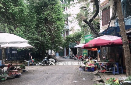 Bán nhà đẹp ngõ phố Trần Điền 51m x5T, kinh doanh, ô tô đỗ cửa, Giá 16.9 tỷ