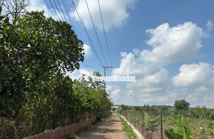 Đất gần Hồ Trị An không khí mát mẻ, kèm thêm vườn xoài nhiều trái