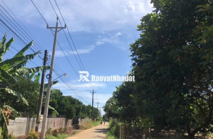 ĐI ĐÂU XA NGAY ĐÂY CÓ MỘT VƯỜN ĐA DẠNG CÁC LOẠI TRÁI CÂY