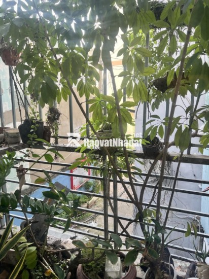 BÁN NHÀ ĐẸP KIẾN TRÚC VIEW RỪNG CÔNG VIÊN 66/ XVNT, P.21, BÌNH THẠNH. Giá 5.8 tỷ, 5PN