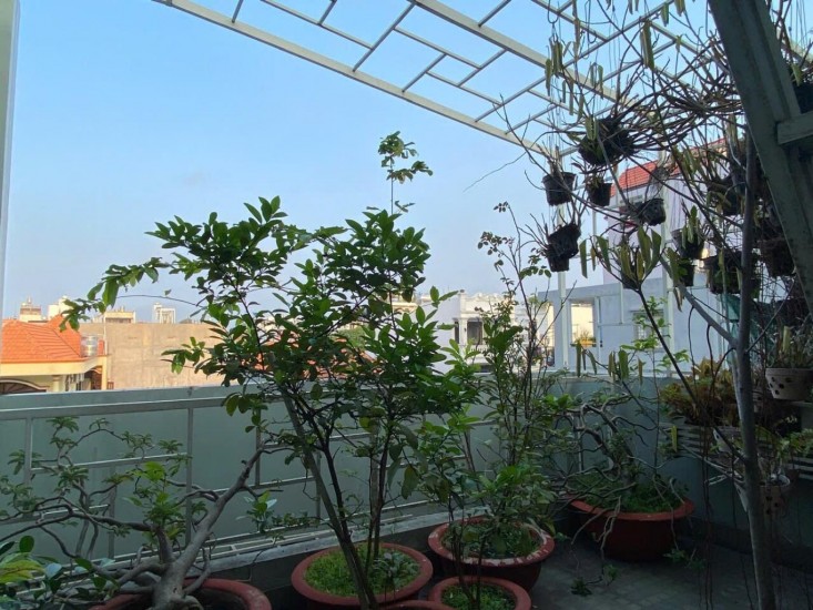 Nguyễn Súy, Tân Quý, 65m2 (4,5x17) 3 Tầng, Khu Vực Mua Bán Sầm Uất Sát Chợ Tân Hương, Ngay Aeon Tân Phú, Hẻm xe Hơi - Nhỉnh 7 Tỷ Còn TL