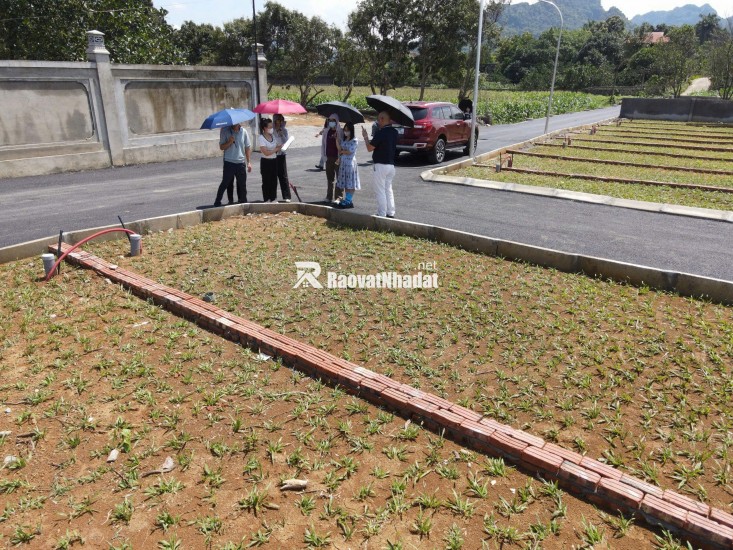  Cơ Hội Đón Sóng Đầu Tư – Đất Nền Giai Đoạn F0 – Sát KCN – Sổ Đỏ Sẵn!