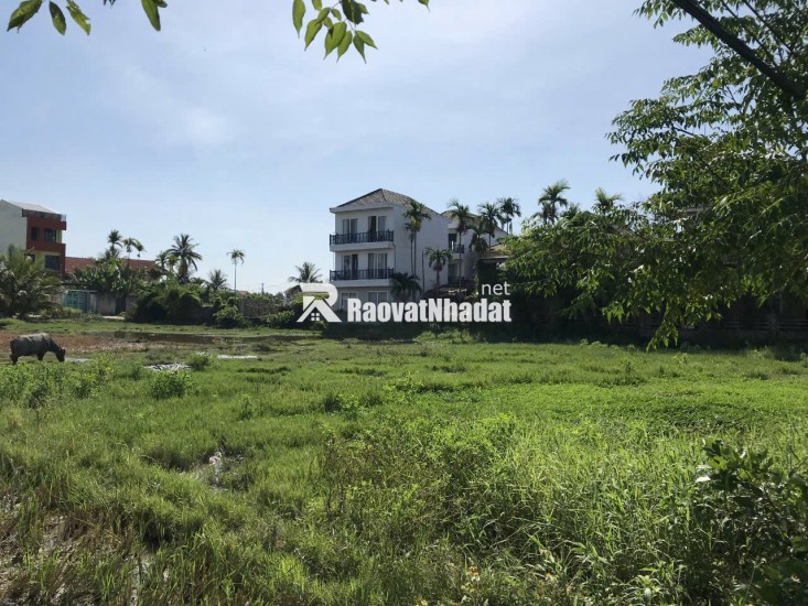 CHÍNH CHỦ  CẦN BÁN ĐẤT Ở KHỐI THANH TÂY- PHƯỜNG CẨM CHÂU-TP.HỘI AN- T.QUẢNG NAM