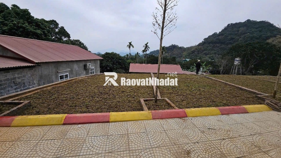 ĐẤT ĐẸP GẦN KCN & RESORT 5⭐ – GIÁ CHỈ 760 TRIỆU – ĐẦU TƯ LÀ LÃI!