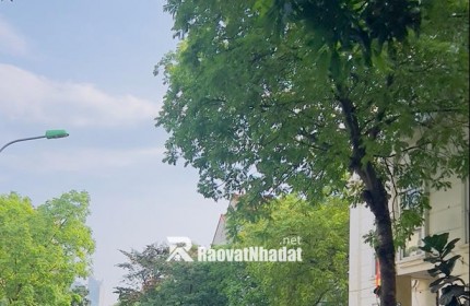 Bán biệt thự Làng Việt Kiều Châu Âu đường Nguyễn Văn Lộc DT 200m2 x 3 tầng giá 47.9 tỷ